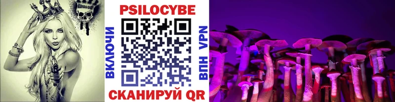 Галлюциногенные грибы MAGIC MUSHROOMS  Яровое 
